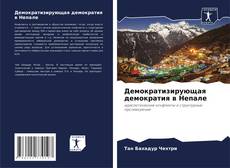 Bookcover of Демократизирующая демократия в Непале