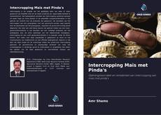 Bookcover of Intercropping Maïs met Pinda's