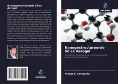 Bookcover of Nanogestructureerde Silica Aerogel