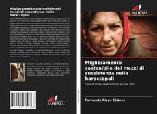 Bookcover of Miglioramento sostenibile dei mezzi di sussistenza nelle baraccopoli