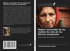 Mejora sostenible de los medios de vida de los barrios marginales kitap kapağı