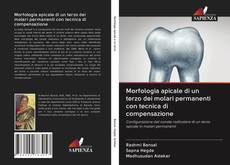 Bookcover of Morfologia apicale di un terzo dei molari permanenti con tecnica di compensazione