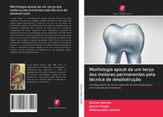 Bookcover of Morfologia apical de um terço dos molares permanentes pela técnica de desobstrução