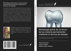 Buchcover von Morfología apical de un tercio de los molares permanentes mediante la técnica de despeje