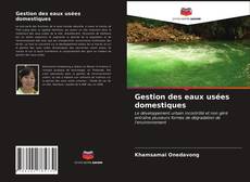 Bookcover of Gestion des eaux usées domestiques