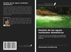 Copertina di Gestión de las aguas residuales domésticas