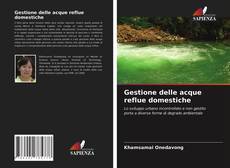 Gestione delle acque reflue domestiche的封面