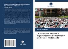 Buchcover von Chancen und Risiken für zugewanderte Arbeitnehmer in Städten der Niederlande
