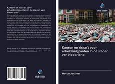 Capa do livro de Kansen en risico's voor arbeidsmigranten in de steden van Nederland 