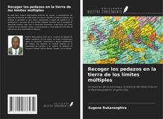 Couverture de Recoger los pedazos en la tierra de los límites múltiples