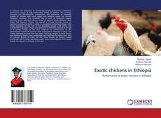 Copertina di Exotic chickens in Ethiopia