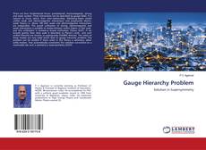 Copertina di Gauge Hierarchy Problem