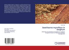 Buchcover von Seed-borne mycoflora in sorghum