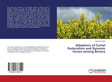 Copertina di Adoptions of Camel Pastoralism and Dynamic Forces among Borana
