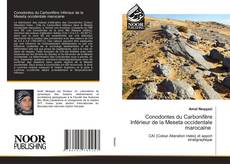 Portada del libro de Conodontes du Carbonifère Inférieur de la Meseta occidentale marocaine