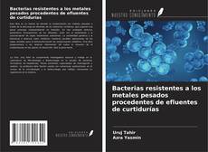 Copertina di Bacterias resistentes a los metales pesados procedentes de efluentes de curtidurías