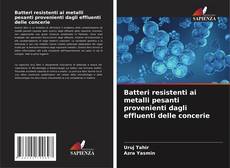 Обложка Batteri resistenti ai metalli pesanti provenienti dagli effluenti delle concerie