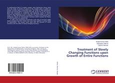 Copertina di Treatment of Slowly Changing Functions upon Growth of Entire Functions