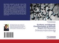 Copertina di Synthesis and Magnetic Characterization of Bismuth Doped ZnO Nanowires