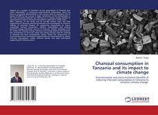 Copertina di Charcoal consumption in Tanzania and its impact to climate change