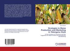 Copertina di Strategies in Maize Production and Marketing in Telangana State