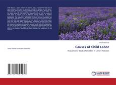 Causes of Child Labor的封面