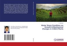 Copertina di Water Stress Condition on Growth & Biochemical Changes in C3&C4 Plants