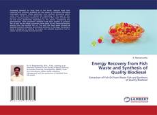 Copertina di Energy Recovery from Fish Waste and Synthesis of Quality Biodiesel
