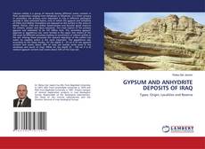 Copertina di GYPSUM AND ANHYDRITE DEPOSITS OF IRAQ