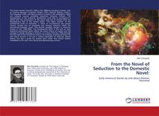 Copertina di From the Novel of Seduction to the Domestic Novel: