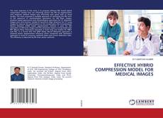 Copertina di Effective Hybrid Compression Model for Medical Images