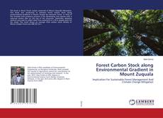 Copertina di Forest Carbon Stock along Environmental Gradient in Mount Zuquala