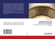 Copertina di Experimental and Numerical Analysis