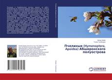Copertina di Пчелиные (Hymenoptera, Apoidea) Абшеронского полуострова