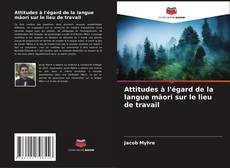 Attitudes à l'égard de la langue māori sur le lieu de travail kitap kapağı