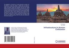 Copertina di Infrastructure in Human Civilization