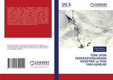 Copertina di TÜRK SPOR FEDERASYONLARININ DENETİMİ ve YENİ YAKLAŞIMLAR