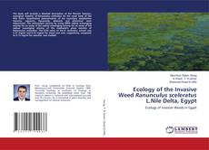 Copertina di Ecology of the Invasive Weed Ranunculus sceleratus L.Nile Delta, Egypt