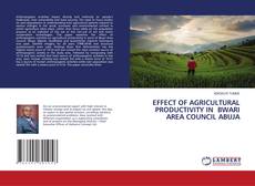 Copertina di EFFECT OF AGRICULTURAL PRODUCTIVITY IN BWARI AREA COUNCIL ABUJA