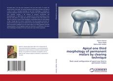 Copertina di Apical one third morphology of permanent molars by clearing technique