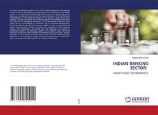 Copertina di INDIAN BANKING SECTOR: