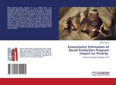 Copertina di Econometric Estimation of Social Protection Program Impact on Poverty