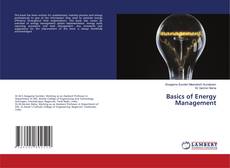 Copertina di Basics of Energy Management