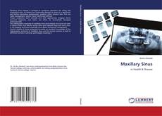 Copertina di Maxillary Sinus