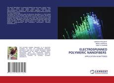 Copertina di ELECTROSPUNNED POLYMERIC NANOFIBERS