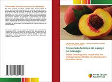 Conversão térmica do caroço de pêssego:的封面