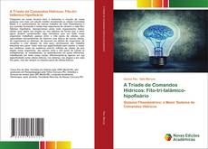 Buchcover von A Tríade de Comandos Hídricos: Fito-tri-talâmico-hipofisário