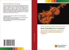 Buchcover von Nem Todo Músico é Tranquilo: