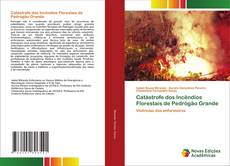 Copertina di Catástrofe dos Incêndios Florestais de Pedrógão Grande