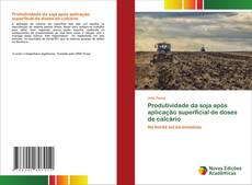 Buchcover von Produtividade da soja após aplicação superficial de doses de calcário